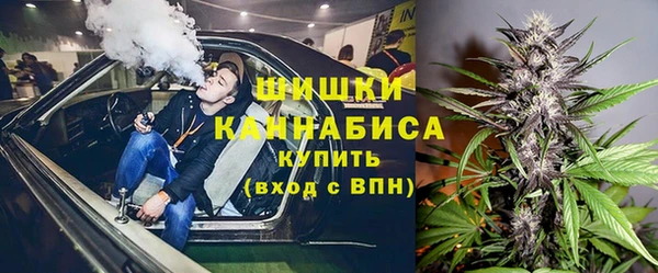 индика Лиски