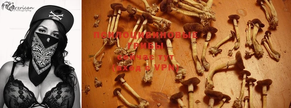 синтетический гашиш Ладушкин