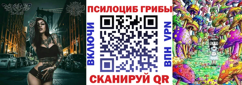 купить наркотики сайты  Ковылкино  Галлюциногенные грибы Psilocybe 