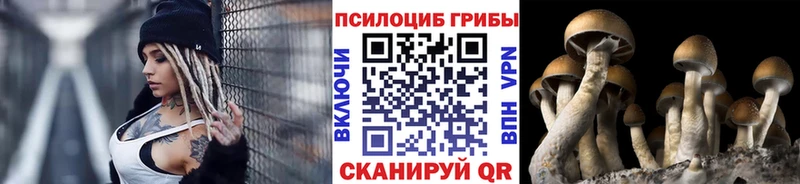 Галлюциногенные грибы Psilocybine cubensis Ковылкино